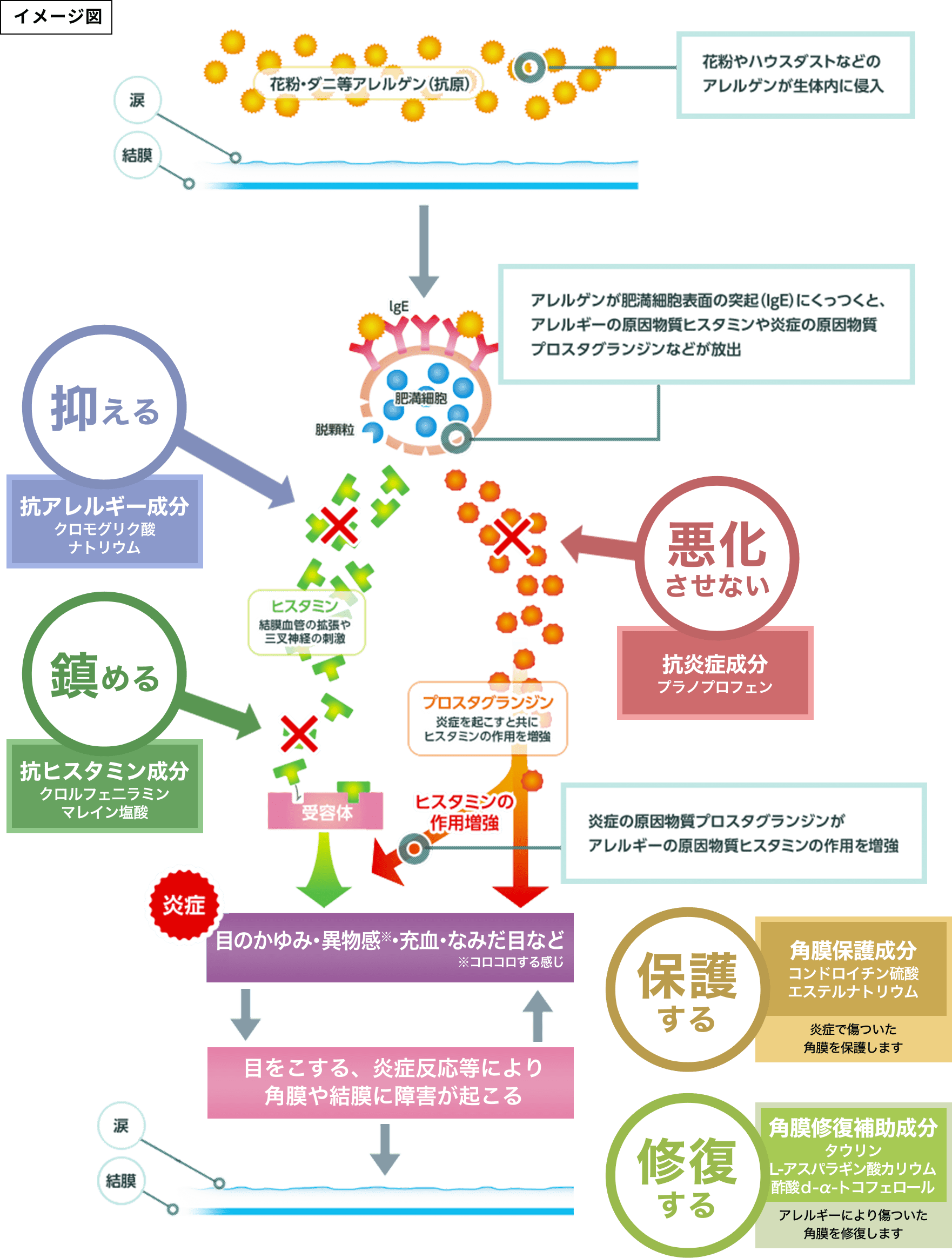 7つの有効成分のはたらき