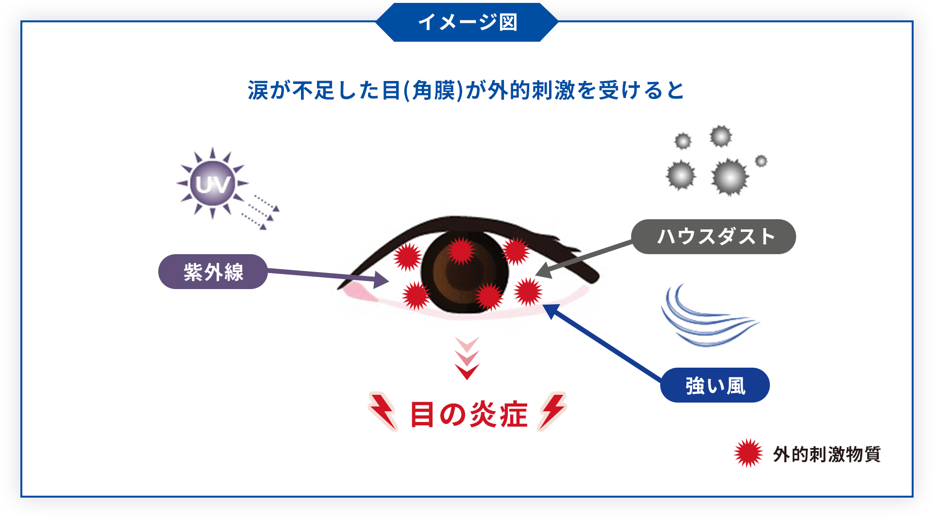 涙が不足した目(角膜)が外的刺激を受けると