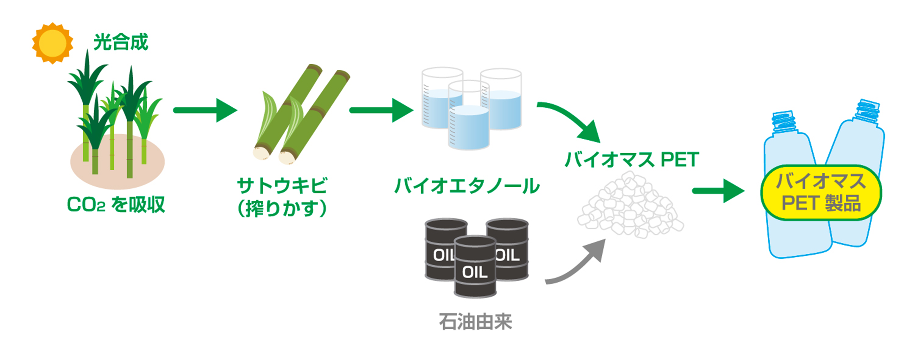 バイオマスプラスチックとは