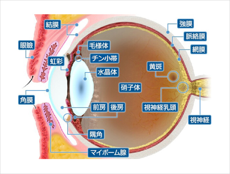 目