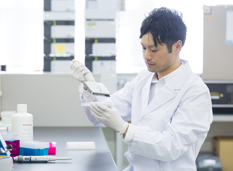 研究職 14年入社 理学研究科修了 先輩社員紹介 社員を知る Senju Recruiting Information 入社希望のみなさま 千寿製薬株式会社